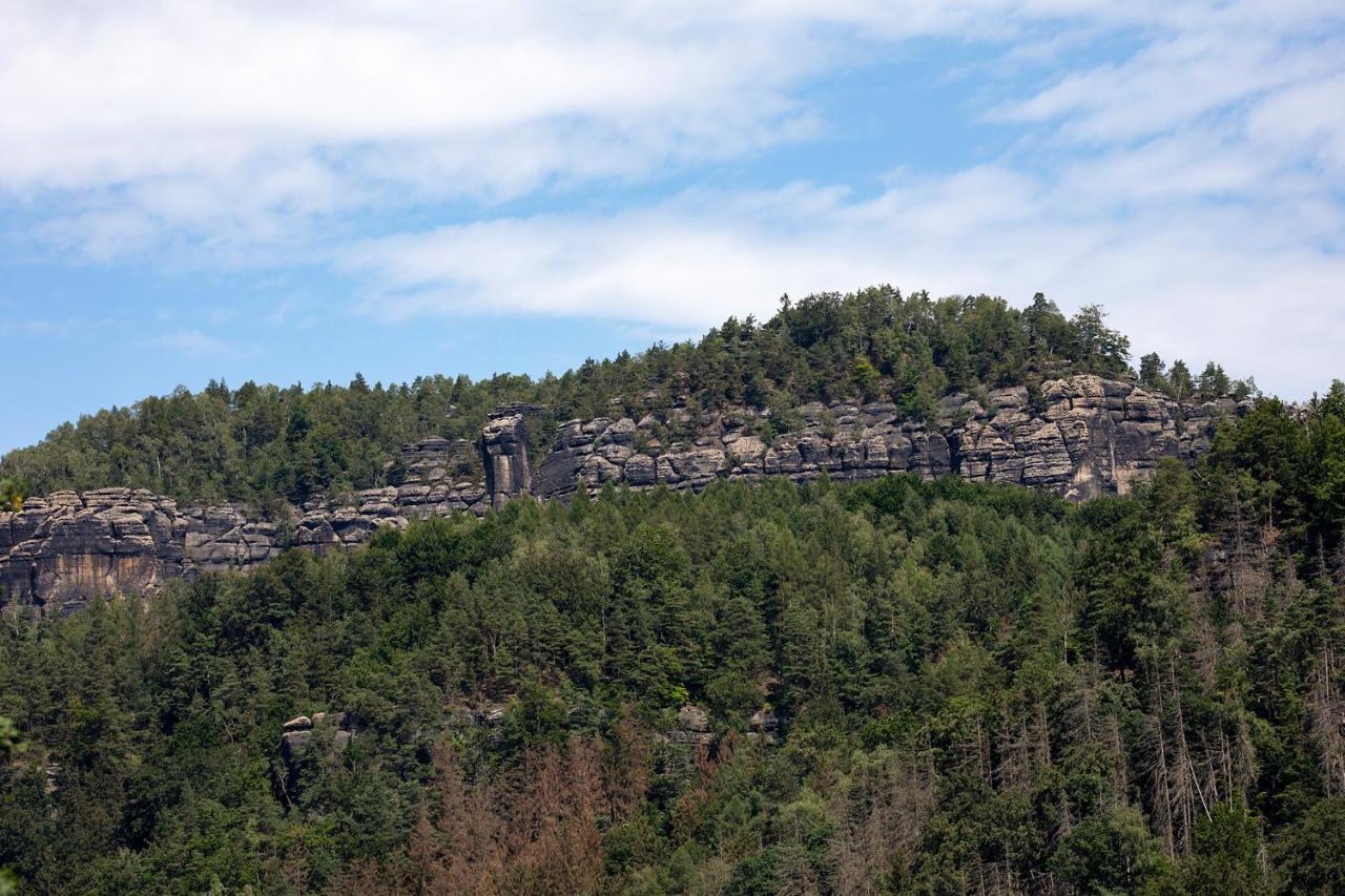 Burg Schoena ชมิลกา ภายนอก รูปภาพ